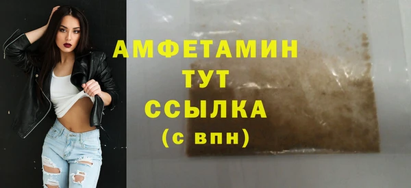индика Абаза
