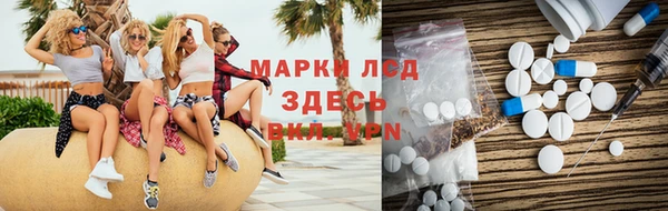 индика Абаза