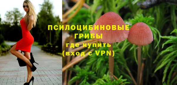 индика Абаза