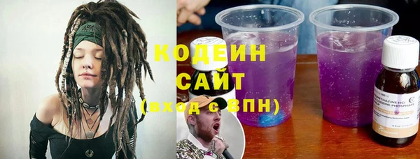 индика Абаза