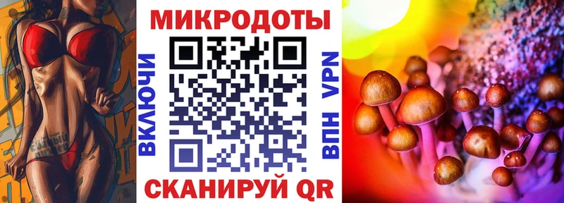 Галлюциногенные грибы Psilocybine cubensis  Сухиничи 